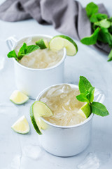 Moscow mule cocktail with vodka, ginger beer, lime and mint