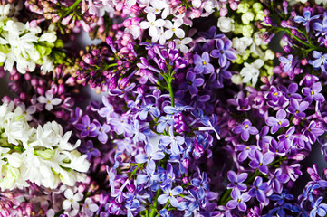 Colorful lilac flowers arrangement close up