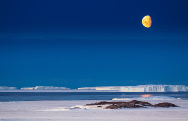 antarctica © Андрей Миракин