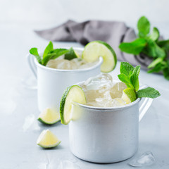 Moscow mule cocktail with vodka, ginger beer, lime and mint
