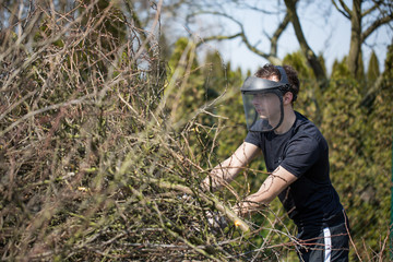 Professional lumberjack / woodcutter with helmet clearing the garden of felled tree