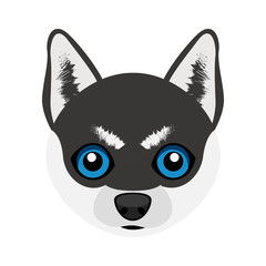 Cute Siberian Husky dog avatar