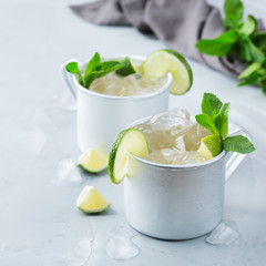 Moscow mule cocktail with vodka, ginger beer, lime and mint
