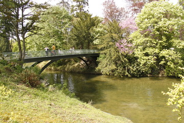Fototapeta na wymiar Pont du lac inférieur du Bois de Boulogne à Paris