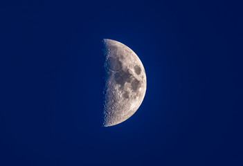 half moon in blue night sky