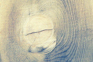 Monkey face on a wooden board. Image using annual rings. Toned