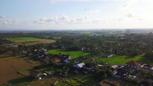 Amazing view of village with rice plantations at sunrise aerial footage