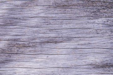 Organic dead wooden log with lines and cracks running horizontally to be used as a background