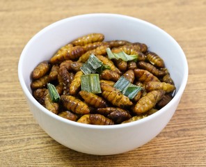 Deep Fried Coconut Worms on A White Bowl