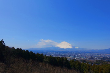 Obraz premium Fuji san in spring 