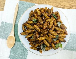 Deep Fried Coconut Worms on A White Dish