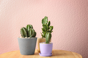 Beautiful cactuses in pots on table against color background