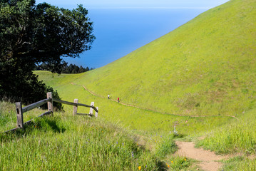 Hiking on Mt Tam in Spring