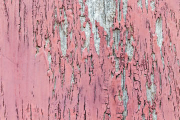 wood texture. background old panels