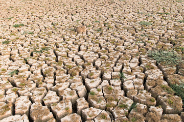 Cracked dry land without water.Abstract background.