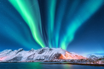 Aurora borealis. Lofoten islands, Norway. Aurora. Green northern lights. Starry sky with polar lights. Night winter landscape with aurora, sea with sky reflection and snowy mountains.Nature background - obrazy, fototapety, plakaty