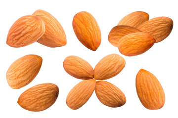 Collection of sweet almonds isolated on white
