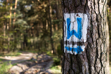 Marking tourist routes on a tree in the forest. Trees with signs for use in the field.