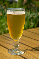 One cold light unfiltered beer in glass served on sunny outdoor terrace in garden