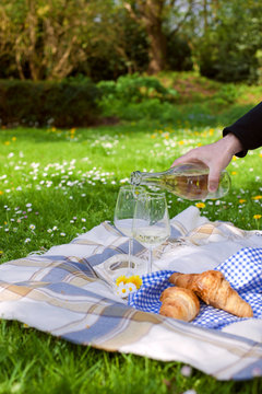 Two glasses of wine. A man's hand pours wine. Picnic in a clearing with flowers. Spring in the Netherlands. Place for text. holidays