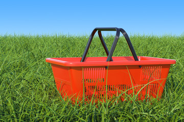 Shopping basket on the green grass against blue sky, 3D rendering