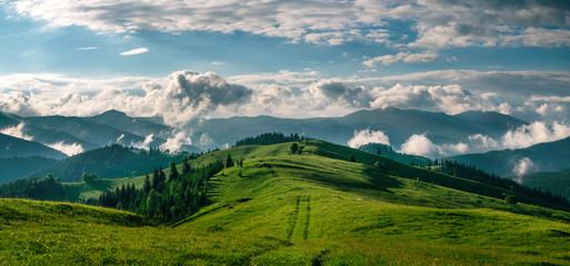 Fototapeta premium Zapierająca dech w piersiach panorama porannej dzikiej przyrody wysoko w górach