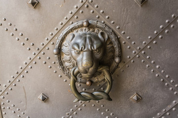 The head of the beast with the ring