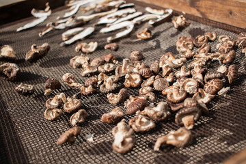 Dried shiitake mushrooms