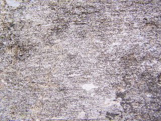 Old gray concrete background, light background