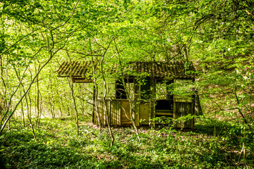 Verfallene Hütte im Wald
