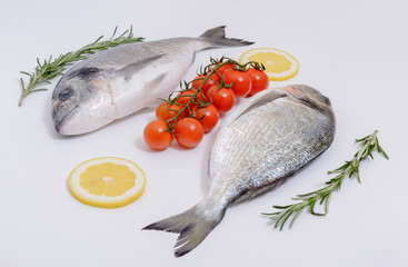 Two fresh dorada fishes with tomatoes, lemon and rosemary on white background