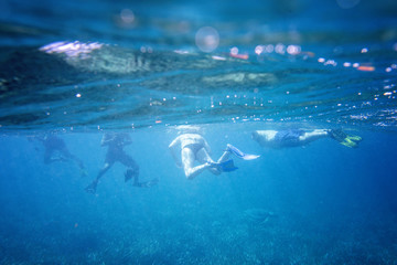 Snorkeling in Ocean