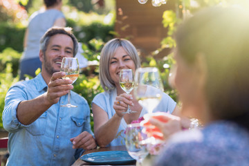 summer. Group of friends having fun around a table in the garden