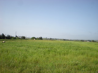 Fototapeta premium landscape