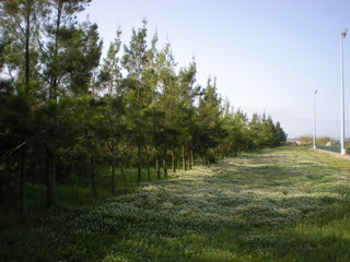 Obraz premium landscape