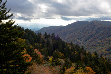 Fototapeta na wymiar Fall Colors in the Smoky Mountains