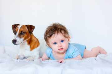 Little child boy with blue eyes and his friend dog on white background