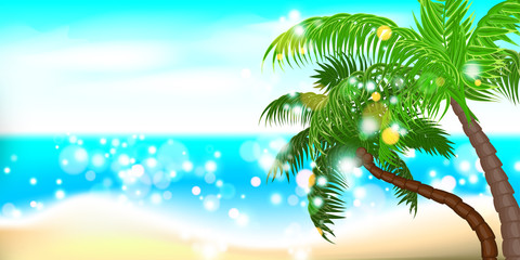 Fototapeta na wymiar Horizontal summer time palm tree banner. Palm leaf seashore sand beach. Ocean poster sunny tropical vector illustration. Hawaii landscape paradise. Colored party invitation.