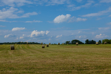 Hay field