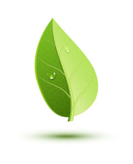 Fototapeta premium Green ecology concept icon leaf. Green leaf plant nature organic element. Spring symbol illustration