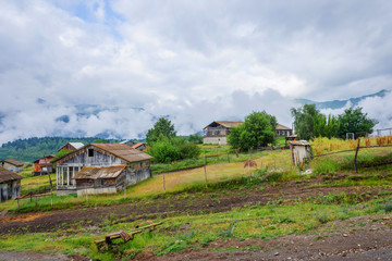 Naklejka premium Omalo village, Georgia