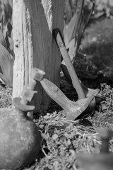Anchor