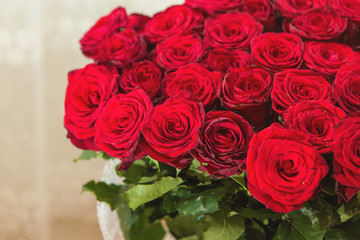A bouquet of red roses closeup