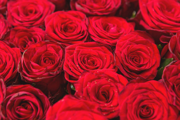 A bouquet of red roses closeup