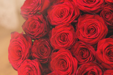 A bouquet of red roses closeup