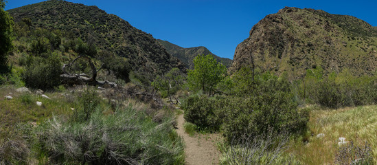 Fototapeta na wymiar Trekking Trail leads into a canyon in the hills and mountains of southern California's National Forest.