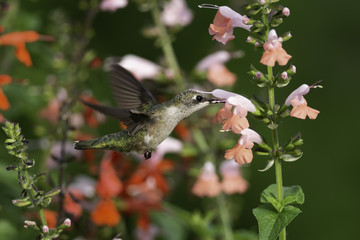 Wrapped in Flowers