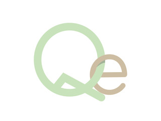 Obraz premium QE Initial Logo for your startup venture