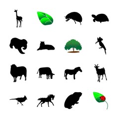 icon Animal with aves, clip art, mare, cute and funny