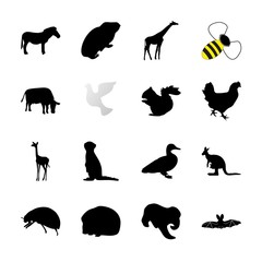 icon Animal with savannah, antelope, jump, cavy and forest